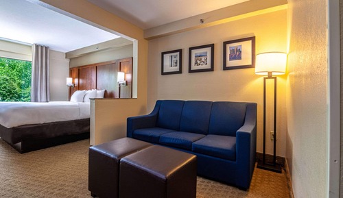 Suite, 1 King Bed with Sofa bed, Accessible, Non Smoking