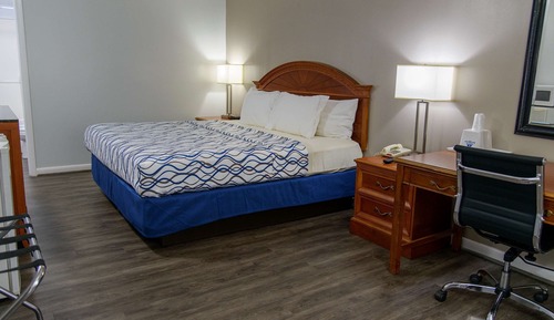 Room, 1 King Bed, Non Smoking