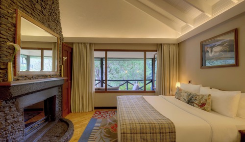 Suite, 1 King Bed