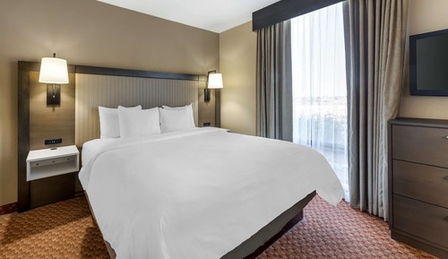 Suite, 1 King Bed, Non Smoking, Refrigerator & Microwave (with Sofabed)