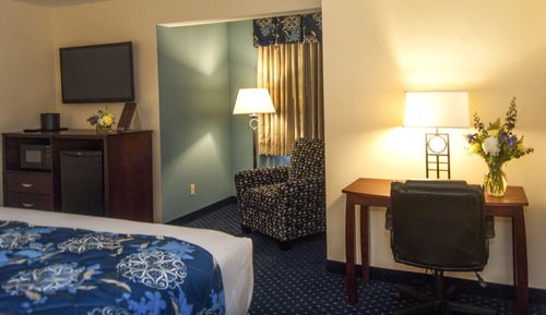 Room, 1 King Bed, Accessible