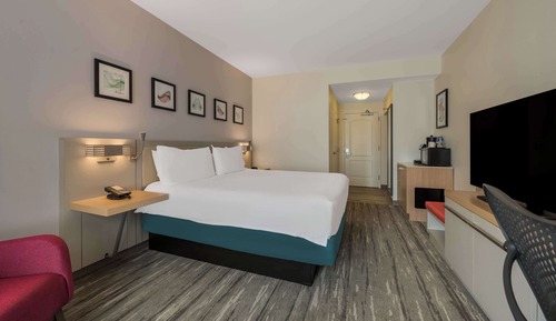 Room, 1 King Bed