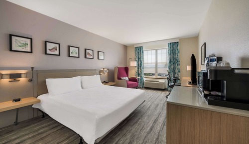 Room, 1 King Bed