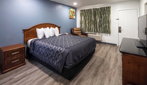 Basic Studio, 1 King Bed, Kitchen