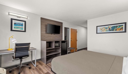 Room, 1 King Bed, Accessible, Non Smoking