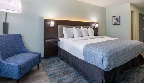 Room, 1 King Bed, Non Smoking