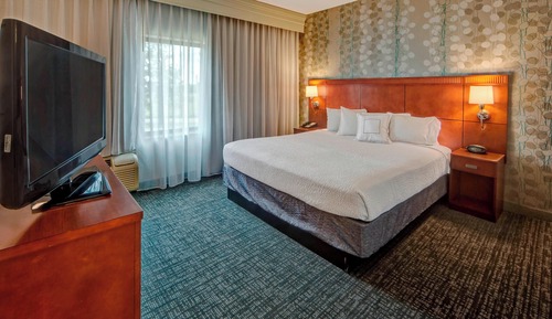 Suite, 1 King Bed with Sofa bed
