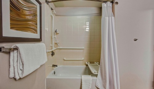 Studio, 1 King Bed with Sofa bed (Mobility/Hearing Accessible, Tub)