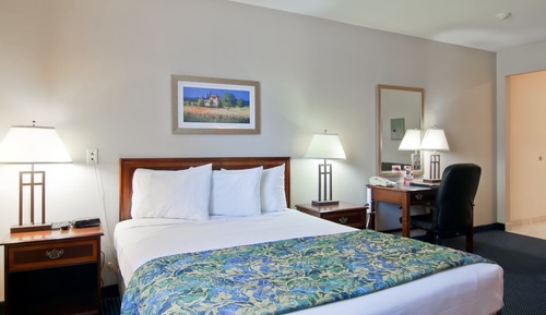 Room, 1 Queen Bed, Non Smoking (Efficiency)
