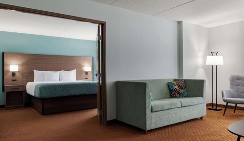Deluxe Suite, 1 King Bed, Non Smoking (One-Bedroom)