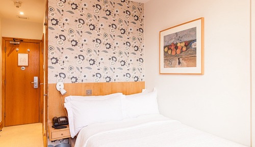 Superior Single Room