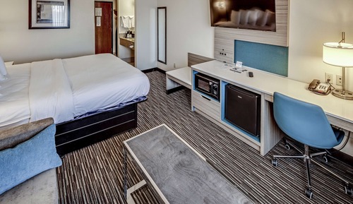 Standard Room, 1 King Bed, Non Smoking (Pet Friendly;with Sofabed)