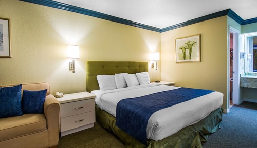 Room, 1 King Bed with Sofa bed, Accessible, Non Smoking