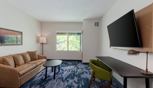 Suite, 1 King Bed with Sofa bed
