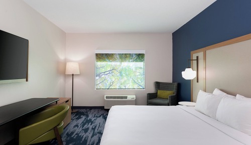 Room, 1 King Bed