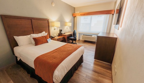 Standard Room, 1 King Bed, Non Smoking