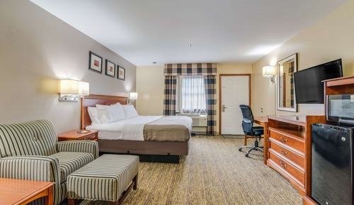 Room, 1 King Bed, Non Smoking