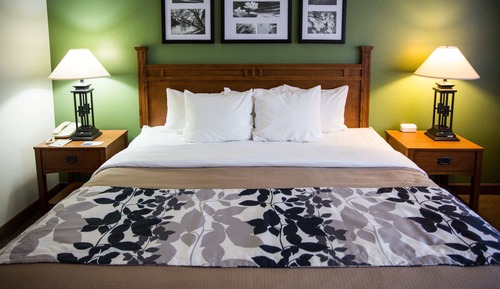 Room, 1 King Bed, Accessible, Non Smoking