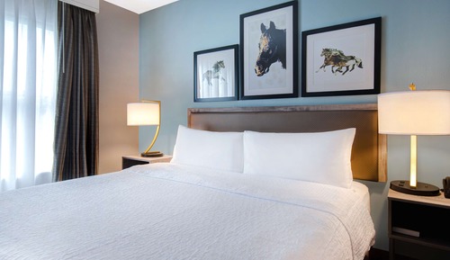 Studio Suite, 1 King Bed with Sofa bed