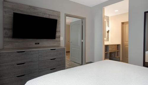 Suite, 1 King Bed with Sofa bed