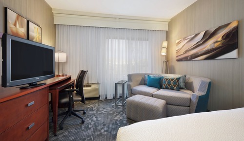 Room, 1 King Bed with Sofa bed, Non Smoking (Mobility Accessible, Roll-In Shower)