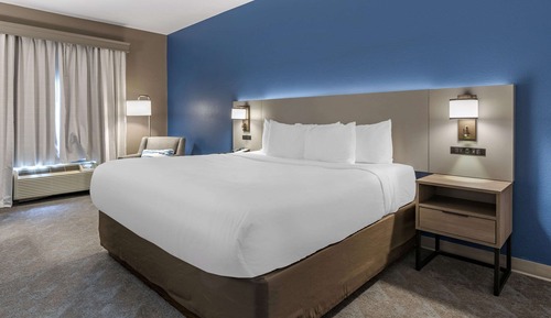 Room, 1 King Bed, Accessible, Non Smoking