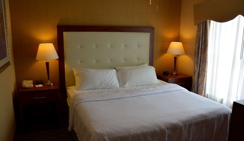 Suite, 1 King Bed with Sofa bed
