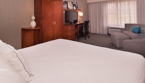 Room, 1 King Bed with Sofa bed, Non Smoking (Mobility/Hearing Access, Roll-in Shwr)