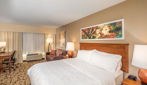 Standard Room, 1 King Bed with Sofa bed, Accessible (Communications Accessible)