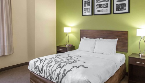 Room, 1 Queen Bed, Accessible, Non Smoking