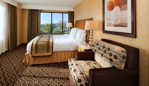 1 Bedroom King Suite