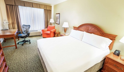Room, 1 King Bed (Drinks & Snacks)