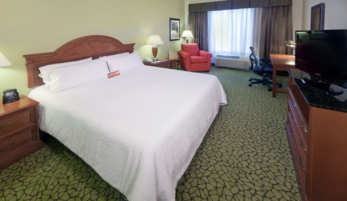 Room, 1 King Bed, Accessible