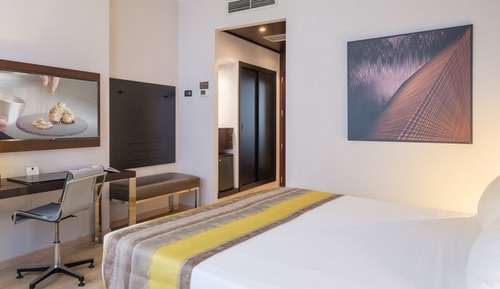 Standard Double Room Single Use