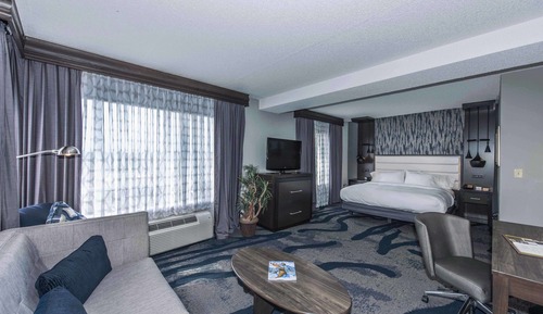 Studio Suite, 1 King Bed with Sofa bed