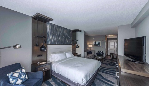 Room, 1 King Bed, Accessible