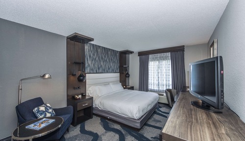 Room, 1 King Bed