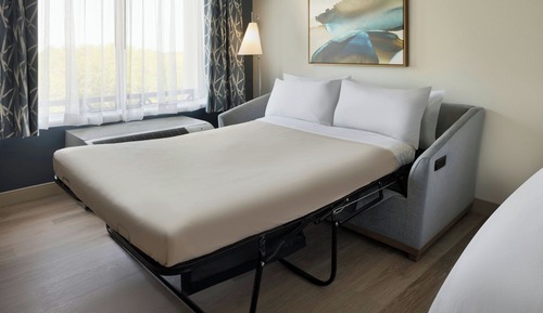 Room, 1 King Bed with Sofa bed, Non Smoking (Mobility Accessible, Tub)