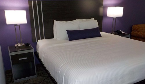 Standard Room, 1 King Bed, Non Smoking, Refrigerator & Microwave
