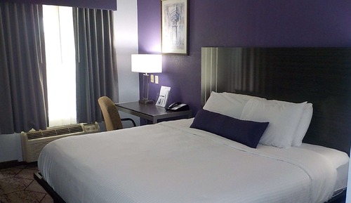 Standard Room, 1 King Bed, Non Smoking, Refrigerator & Microwave (Exterior Corridor)