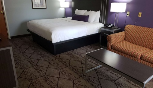Standard Room, 1 King Bed, Accessible, Non Smoking (Walk-in Shower)