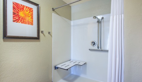 Studio Suite, Accessible, Kitchen (Roll-In Shower)