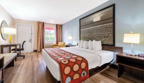 Room, 1 King Bed, Non Smoking