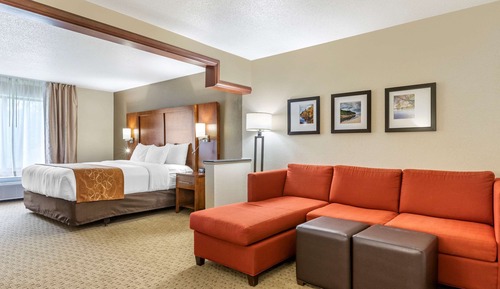 Suite, 1 King Bed with Sofa bed, Accessible, Non Smoking