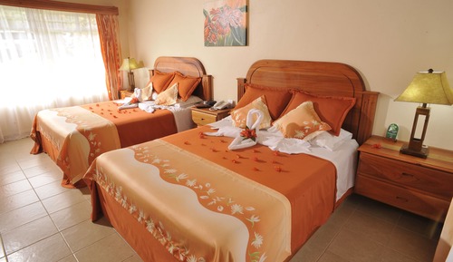 Standard Room, Accessible, Mountain View
