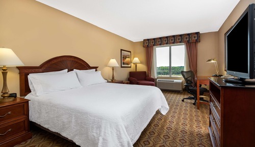 Room, 1 King Bed