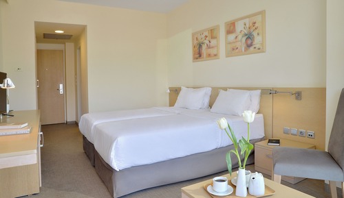Standard Double Room, Mountain View