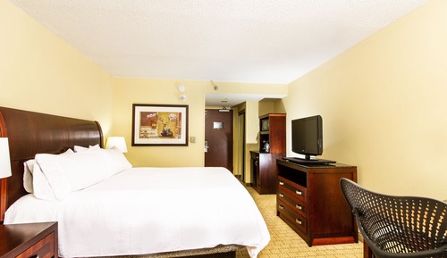 Room, 1 King Bed