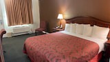 Room, 1 King Bed, Accessible, Non Smoking