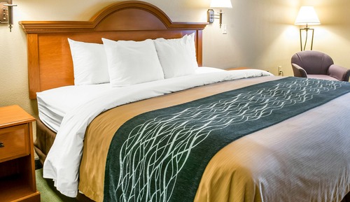Room, 1 Queen Bed, Non Smoking